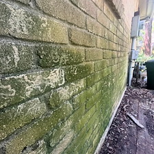 Five-Star-Deck-Cleaning-Staining-In-Shavano-Park-Texas 0