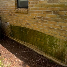 Five-Star-Deck-Cleaning-Staining-In-Shavano-Park-Texas 1