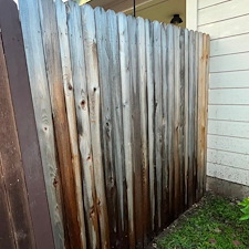 Professional-Fence-Restoration-Staining-in-Cibolo-TX 1