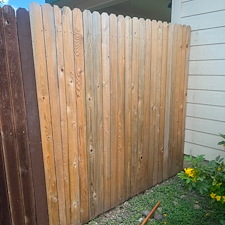 Professional-Fence-Restoration-Staining-in-Cibolo-TX 2